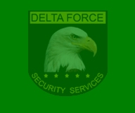 Delta Force Security Services & Consultancy